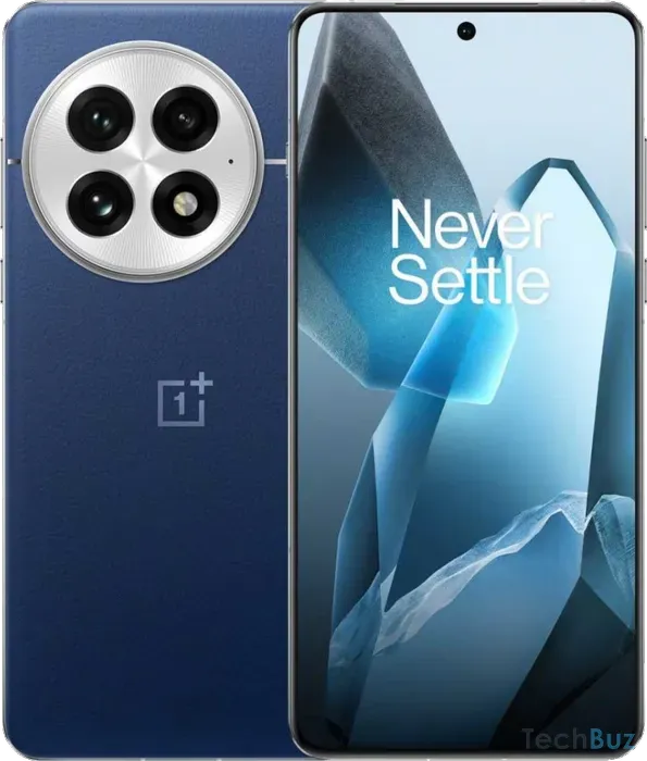 OnePlus 13